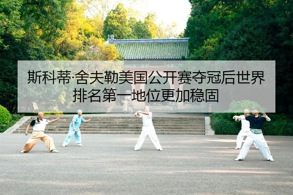 斯科蒂·舍夫勒美国公开赛夺冠后世界排名第一地位更加稳固