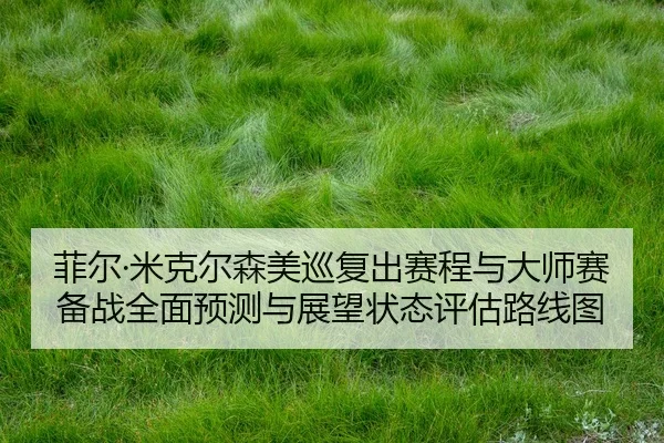 fei-er-mi-ke-er-sen-mei-xun-fu-chu-sai-cheng-yu-da-shi-sai-bei-zhan-quan-mian-yu-ce-yu-zhan-wang-zhuang-tai-ping-gu-lu-1-658.jpg